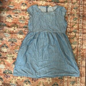 Soft Joie Chambray Dress